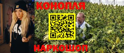 ГАЛЛЮЦИНОГЕННЫЕ ГРИБЫ Заволжье