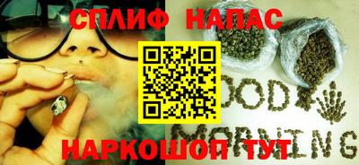 ГАЛЛЮЦИНОГЕННЫЕ ГРИБЫ Заволжье