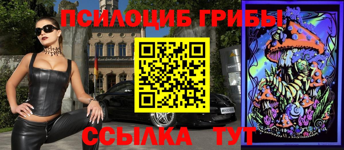 Галлюциногенные грибы Cubensis Валуйки